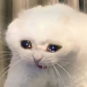 Meet your Posher, Fernando